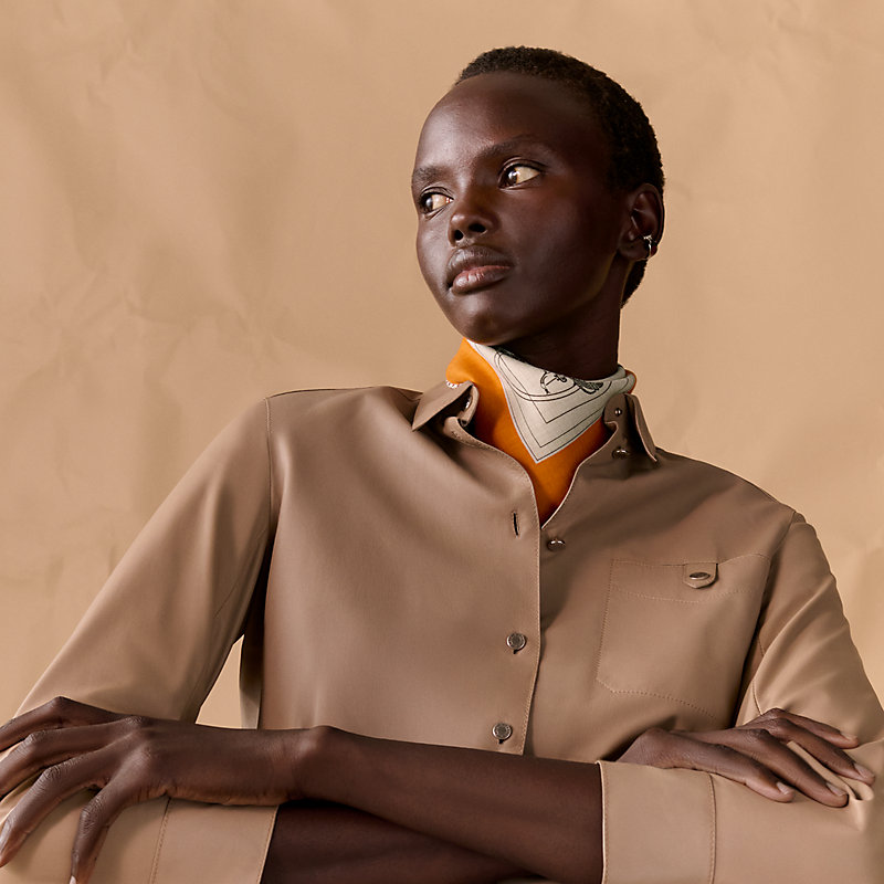 Ex-Libris scarf 45 - Brown | Hermès USA